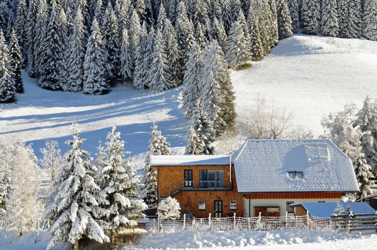 Landhaus Riesneralm Donnersbachwald Kültér fotó