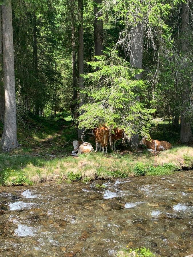 Landhaus Riesneralm Donnersbachwald Kültér fotó